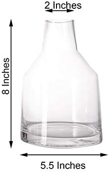 Amazon Com Tapered Neck Glass Vases 2pcs Clear 12 Tall Centerpieces Party Decor Tkcfvor Home Kitchen