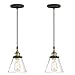 WISBEAM Pendant Lighting Fixture with Oil Rubbed Bronze and Brass Finish, RV Hanging Ceiling Lights with E26 Medium Base Max. 60 Watts, ETL Rated, Bulbs not Included, 2-Pack