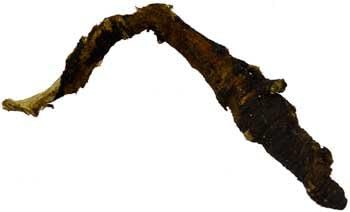 Fortune Telling Supplies Herbs Osha Root whole 1oz Lucky Talisman Burn to Purify Air Fix Negative