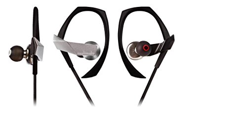 Moshi Clarus Premium Dual Driver In-Ear Headphones with Microphone, Silver
