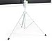 VIVO 100 inch Portable White Frame, Indoor Outdoor Projector Screen, 100 inch Diagonal Projection HD 4:3 Projection Pull Up Foldable Stand Tripod (PS-T-100W)