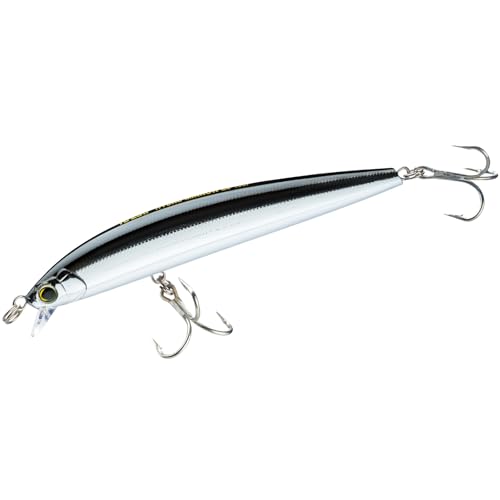 Yo-Zuri R1323-CSBL Hydro Minnow Lc, Farbe: Schwarz/Silber, 170 mm