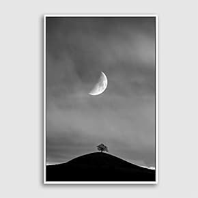 Framed Wine Glass Home Artwork for Living Room Bedroom