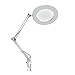 Lighting LED Magnifying Lamp with Clamp 360°Adjustable Swivel Arm ，Dimmable, Adjustable Color Temperature Utility Light for Crafts Reading Inspection and Professional Use