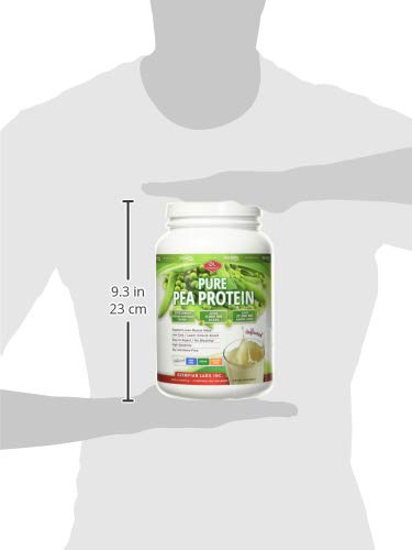 Olympian Labs Plant Based Pea Protein Powder, Unflavored - 25g of Protein, Vegan, Low Net Carbs, Gluten Free, Lactose Free, No Sugar Added, Soy Free, Kosher, Non-GMO, 2 Pound Pea Protein Powder
