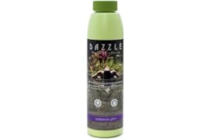 Dazzle Balance pH+ (700g) pH Increaser (SKU DAZ08033)