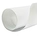 HFS(R) PTFE Film Sheet Laboratory Grade No Adhesive, Pure White 16