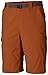 Columbia Men's Silver Ridge Cargo Short, Breathable, UPF 50 Sun Protection