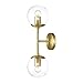 Light Society Brushed Brass and Clear Glass Zeno 2-Light Globe Wall Sconce, Mid Century Modern Retro Vintage Style