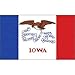 Iowa US State Flag: 3x5 foot poly