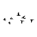 Tattify Birds Temporary Tattoo - Flock Yeah (Set of 2) - Other Styles Available - Fashionable Temporary Tattoos