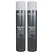 Goldwell Stylesign 4 Perfect Hold Big Finish Volumizing Hair Spray 8.7 oz. - 2 Pack