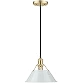 Golden Lighting 3306-M BCB-DB Orwell - 1 Light Medium Pendant-8.5 Inches Tall and 10 Inches Wide, Finish Color: Brushed Champ