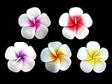 Floating Candles Flower 10 Prices in 1 Set (Plumeria)