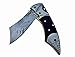 6063 Engraved 5 Inch Custom Pocket knife - Handmade Damascus Steel Folding Pocket Knife with Sheath GladiatorsGuild (Black Horn)