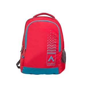 Aristocrat 27 Ltrs Red Casual Backpack (BPNIK1RED)