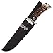 Ridge Runner Pronghorn Prairie Bowie Knife and Sheath - Faux Stag Antler Handle - Deer Hunting Knife