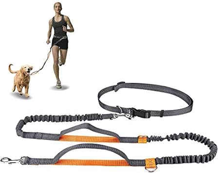 dog jogging belt