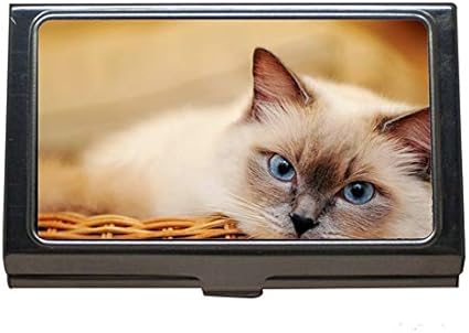 Amazon ステンレス鋼名刺入れ 青い目ペット動物猫名刺ケース男性と女性 名刺ケース 整理箱 文房具 オフィス用品