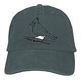 Bird Wings Feathersed Crest Vintage Jeans Baseball