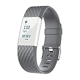 For Fitbit Charge 2 Bands, Adjustable Replacement Bands for Fitbit Charge 2 with Metal Clasp Small Large Gray