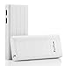 RayHom Portable Chargers 12000mAh Power Banks Backup Battery Charger, with Built in 4 LED Indicators and 1 Flashlight, with 2 USB Ports for Apple Phone,iPad,Samsung,Smartphone and More