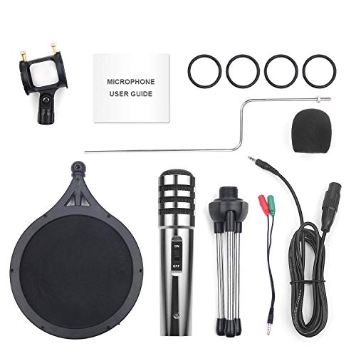 1 DricRoda+Condenser+Microphone+Recording+Conference