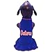 NCAA Florida Gators Cheerleader Dog Dress