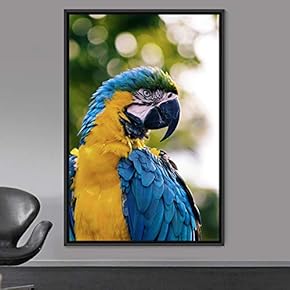 signwin Framed Canvas Wall Art Single Bird Birds...