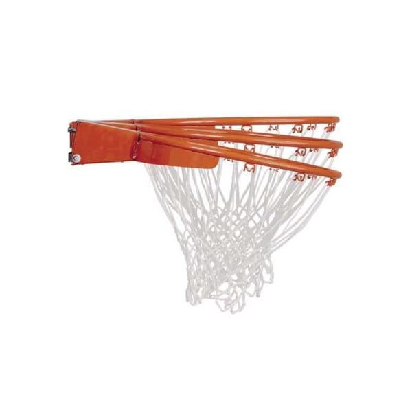 Lifetime Adjustable Basketball Hoop (54Inch Polycarbonate