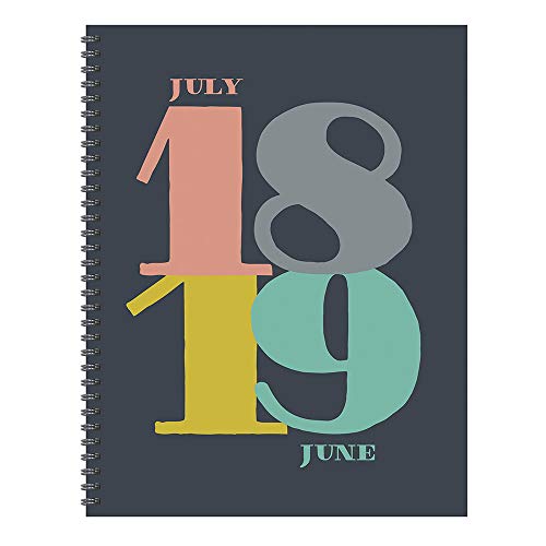 TF Publishing 19-9782A July 2018 - June 2019 Pop Art Large Weekly Monthly Planner, 9 x 11