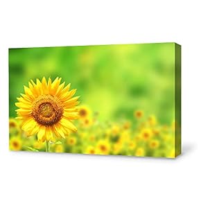 Canvas Wall Art for Living Room,Bedroom Home Artwork Paintings Sunflower Ready to Hang - 12x18 inches