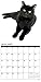 Just Black Cats 2018 Calendar