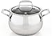 1 X Belgique Stainless Steel Soup Pot, 3 Qt.