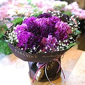 Amazon 母の日 パラボッセ 母の日 ムーンダスト 花束 Sサイズ 12本 横幅25cm X 奥行25cm X 高さ28cm 花束 オンライン通販