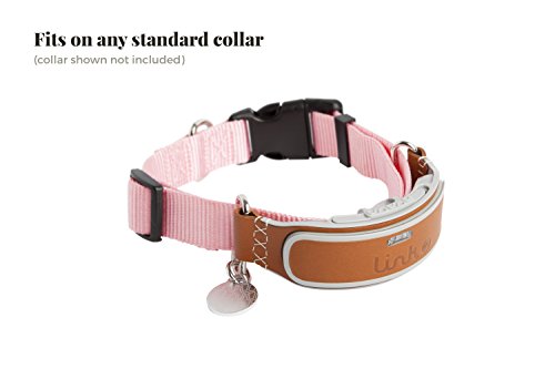 link akc gps & activity monitor smart collar