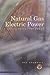 Natural Gas & Electric Power in Nontechnical Language (Pennwell Nontechnical Series)