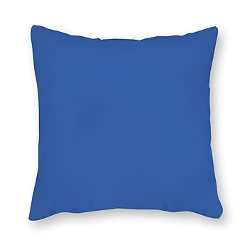 Amazon Com Capri Blue Pillow Blue Indoor Outdoor Pillows