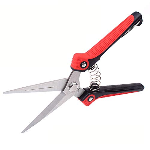 Gardening Pruning Snip Hand Pruner 8 inch with Straight Stainless Steel Blades,Trimmer Pruning Shears Scissor for Garden and Lawn
