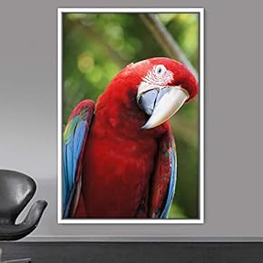 signwin Framed Canvas Wall Art Single Bird Birds...