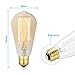 Dimmable Vintage 60 Watt Edison Light Bulb, Amber Warm Glow, Clear Glass Squirrel Cage Filament Light Bulb, E26 Medium Base, Pack of 4