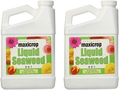 Maxicrop Liquid Seaweed (Kelp Extract, 32 Oz (2-(Pack))