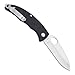 SOG Specialty Knives & Tools SP51-CP Slipzilla Knife with Straight Edge Folding 3.2-Inch Steel Drop Point Blade with G10 Handle, Satin Finish