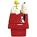 Westland Giftware Peanuts Magnetic Dog House and Snoopy Salt and Pepper Shaker Set, 4-1/2-Inch