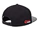 Haas American Team Formula 1 Motorsports Black Flat Brim Hat