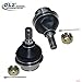 DLZ 2 Pcs Front Lower Ball Joint Compatible with Ford F-150 1997-2003, Ford F-250 1997-1999, Ford Ranger 1998-2001, Ford Explorer 1995-2005, Ford Expedition 1997-2002
