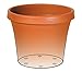 Bloem TR2460 Terra Pot Planter, 24