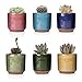 T4U 2.5 Inch Small Ceramic Succulent Planter Pot with Drainage Hole Set of 6, Ice Crack Glaze Plant Container for Cactus, Succulent Plant Gifts for Women Mom Aunt Home Office Decor
