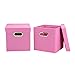Household Essentials Cube Set with Lids, Pink, 2-Pack
