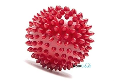 PawCloud Rubber Stud Spike Ball Toy for Dog |Dog Teething Ball | Dog Chew Toy | Multicolor